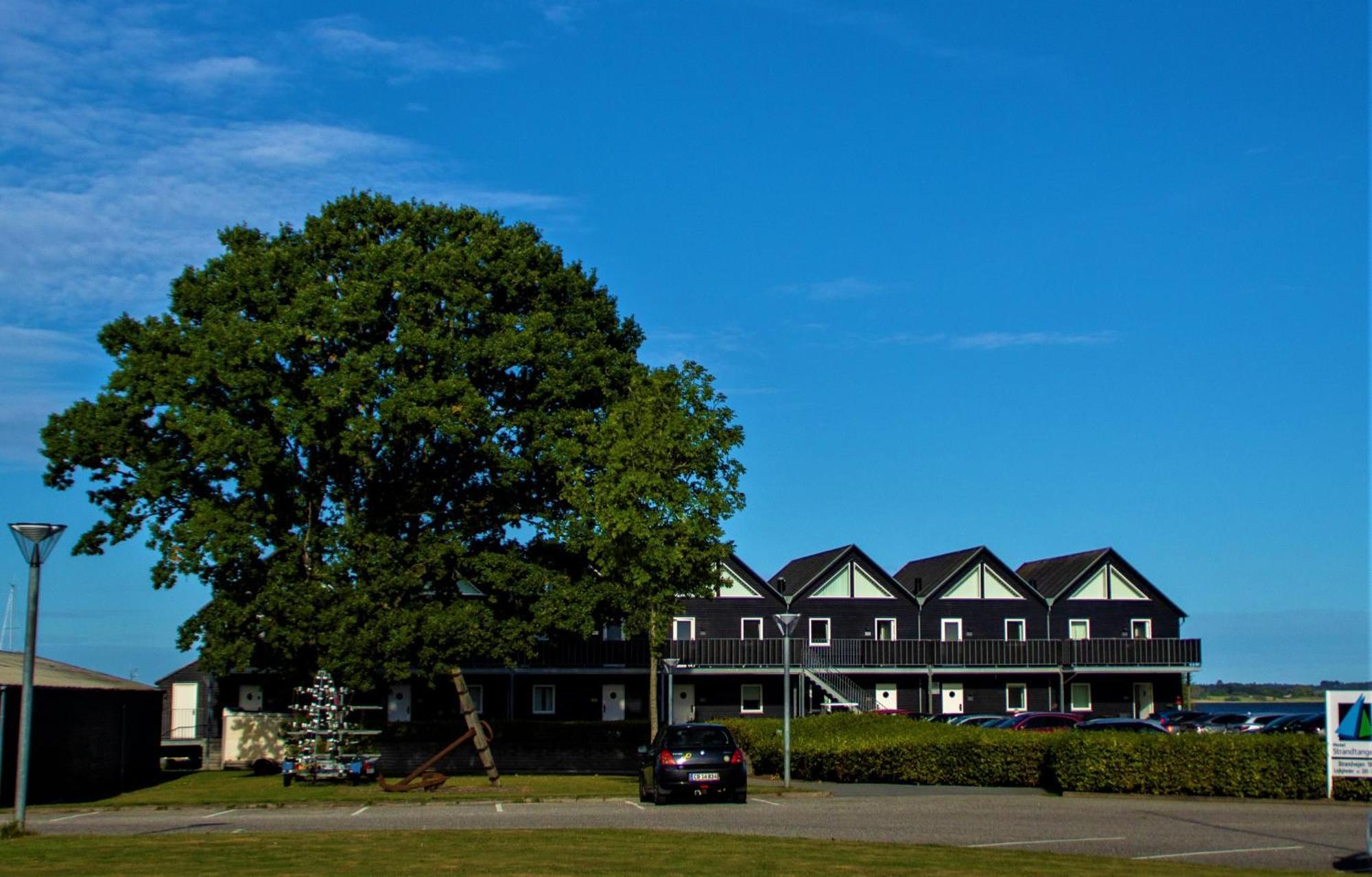 Hotel Strandtangen Quillota Exterior foto